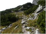 Planina Ravne - Ojstrica